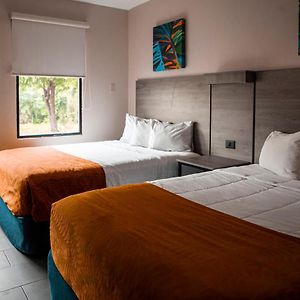 Habitación Cuádruple